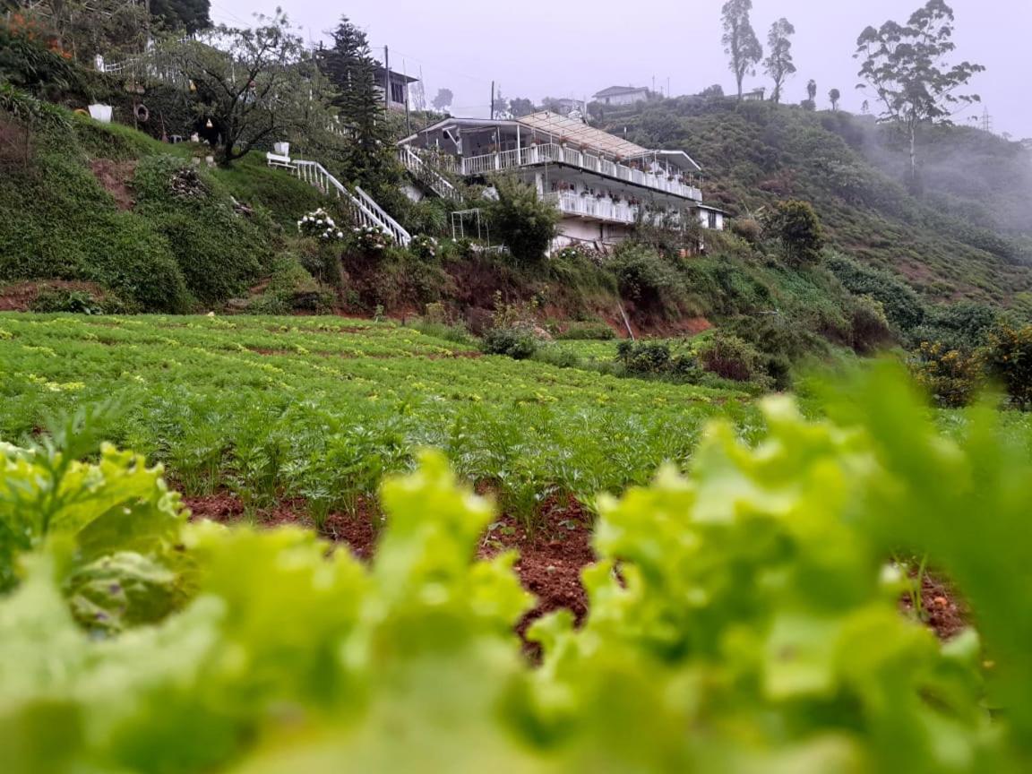 The Farm House Nuwaraeliya Nuwara Eliya Eksteriør billede